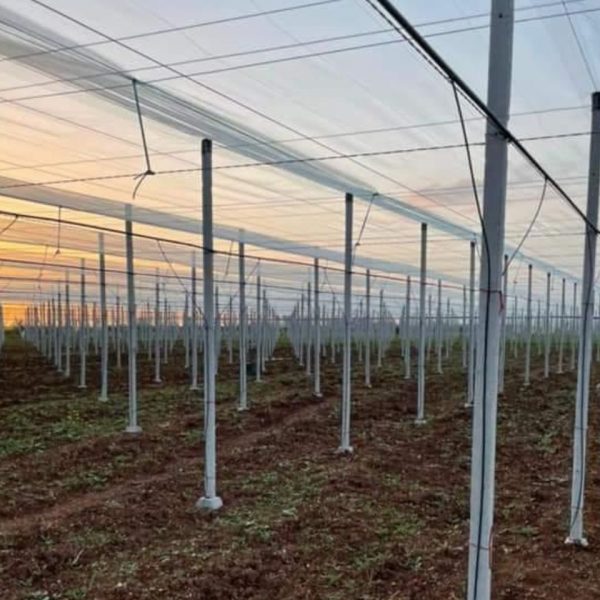 Études et installations des structures de protection antigrêle